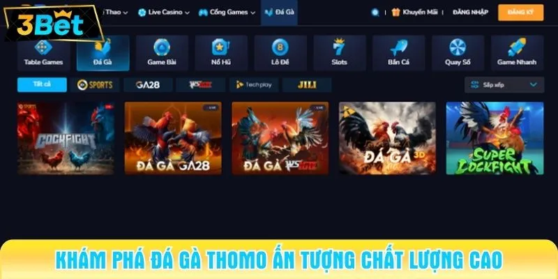 Khám phá đá gà Thomo ấn tượng chất lượng cao