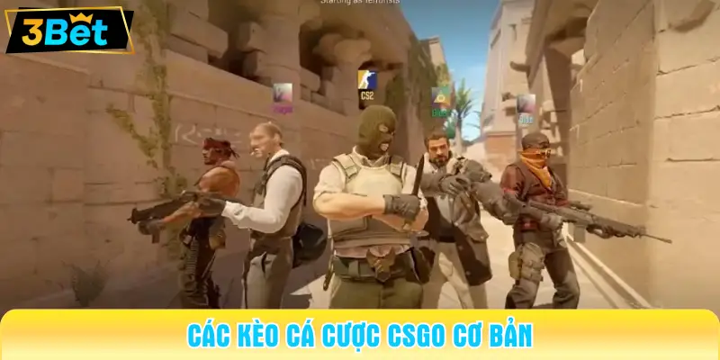 cá cược csgo 2