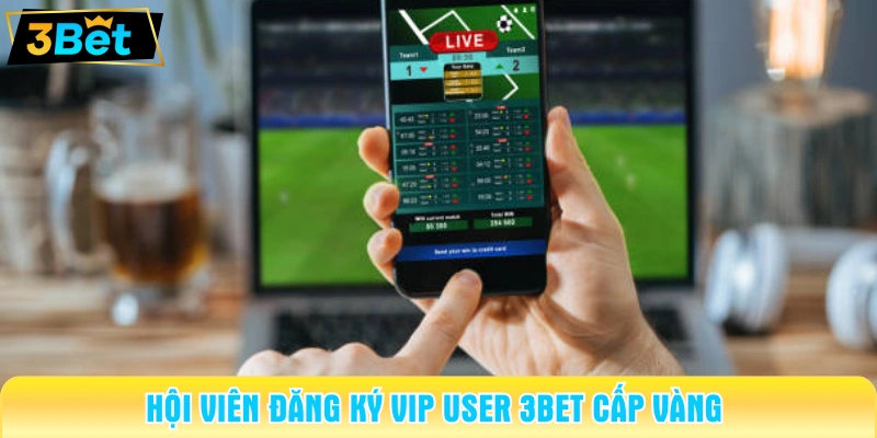 Hội viên đăng ký VIP User 3BET cấp vàng 